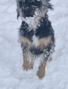 Meet your Posher, Mae